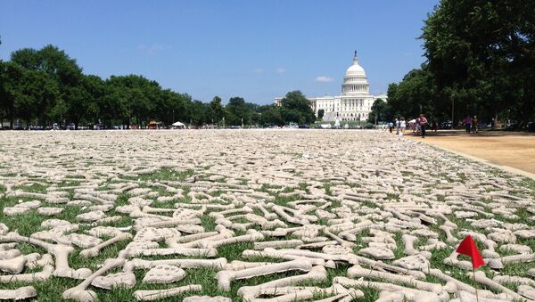 Миллион костей выложили в Вашингтоне, чтобы напомнить о геноциде