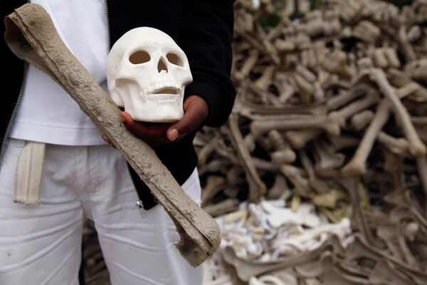 В Вашингтоне волонтеры собрали огромную композицию более чем из миллиона искусственных костей