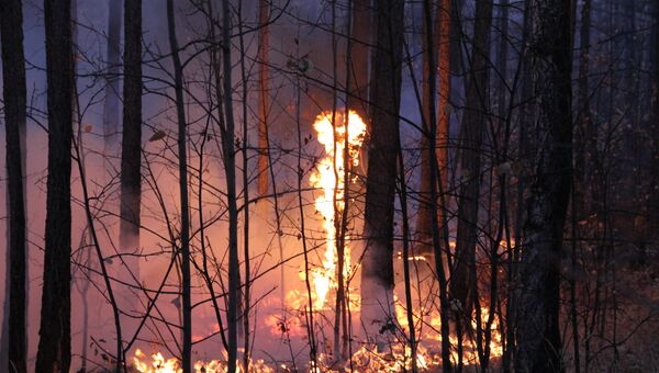 Лесной пожар в Бурятии. Архив