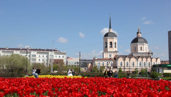 Тюльпаны в Томске, архивное фото