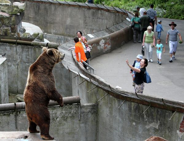 Посетители у вольера с бурым медведем в Калининградском зоопарке