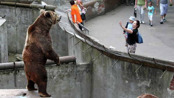 Посетители у вольера с бурым медведем в Калининградском зоопарке. Архивное фото
