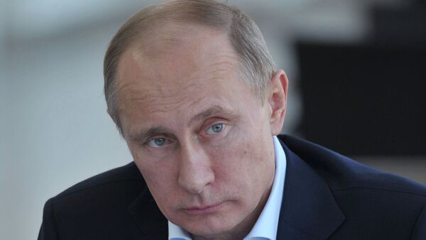Президент РФ Владимир Путин, архивное фото