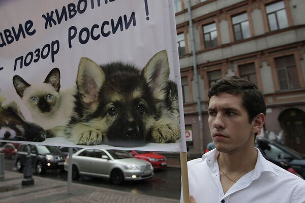 Акция в защиту животных Россия без жестокости!