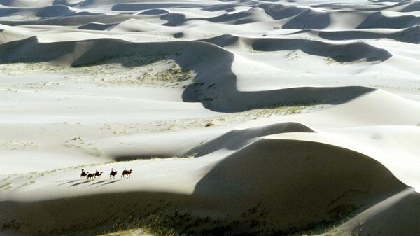 Пустыня Гоби. Архивное фото