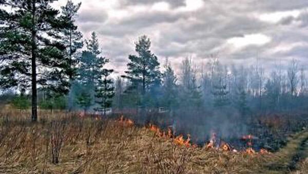 В Выксунском районе зарегистрирован лесной пожар на площади 10 га