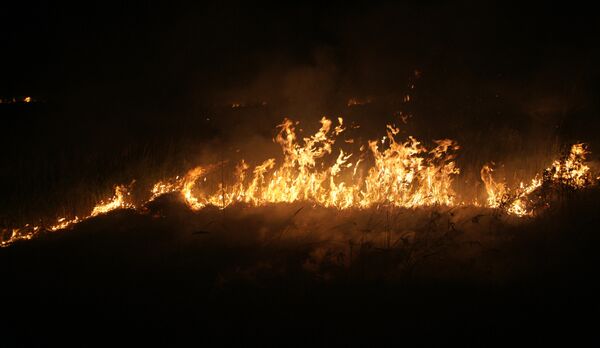 Лесной пожар, возникший в результате взрывов на Приволжском государственном боеприпасном испытательном полигоне