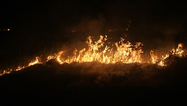 Лесной пожар, архивное фото