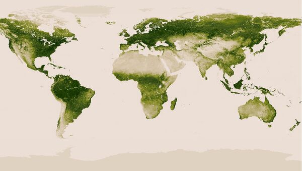 Американский спутник помог ученым составить карту растительности на Земле