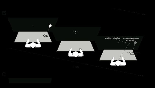 Психологический эксперимент Психологический эксперимент
