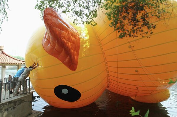 Гигантская желтая резиновая утка в Китае