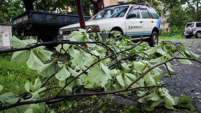 Ветер повредил крыши жилых домов. Архивное фото