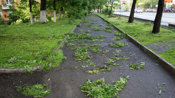 Последствия ночного разгула стихии во Владивостоке
