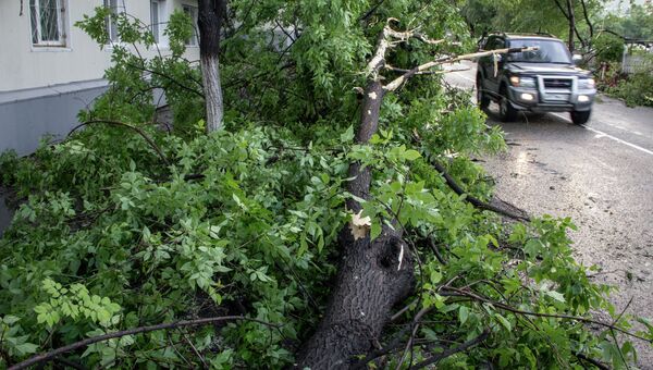 Последствия разгула стихии во Владивостоке