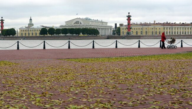 Вид на здание Биржи и Ростральные колонны на стрелке Васильевского острова, архивное фото.