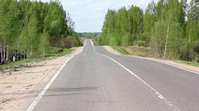 Дорога в Ленинградской области. Архивное фото