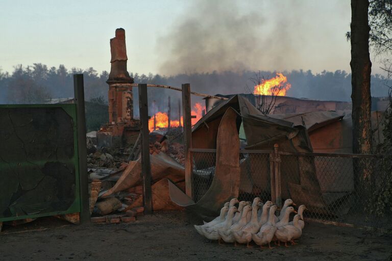 Пожары в Алтайском крае