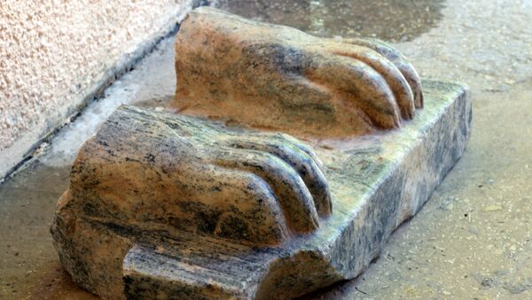 Фрагмент древнеегипетского сфинкса, найденный в Израиле