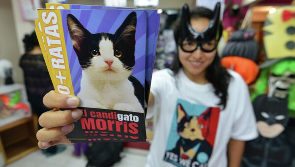 Избирательная кампания кота Морриса