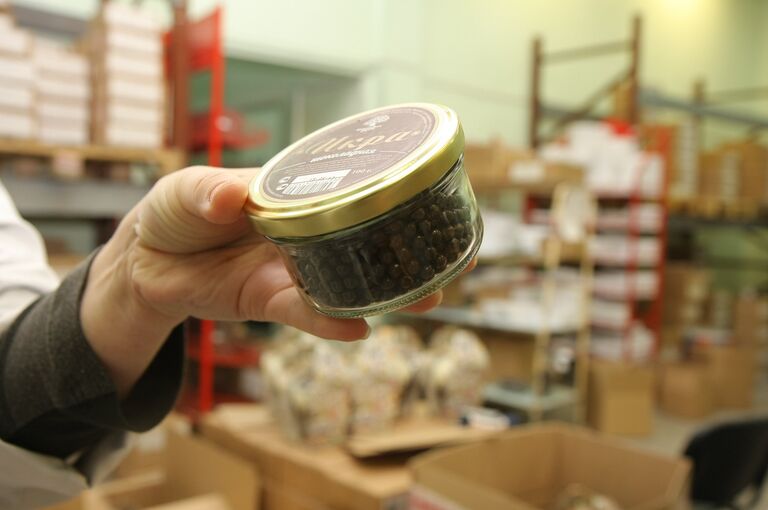 Кондитерский технопарк в Бердске