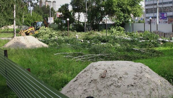 Жители Новосибирска пытаются остановить очередную вырубку деревьев