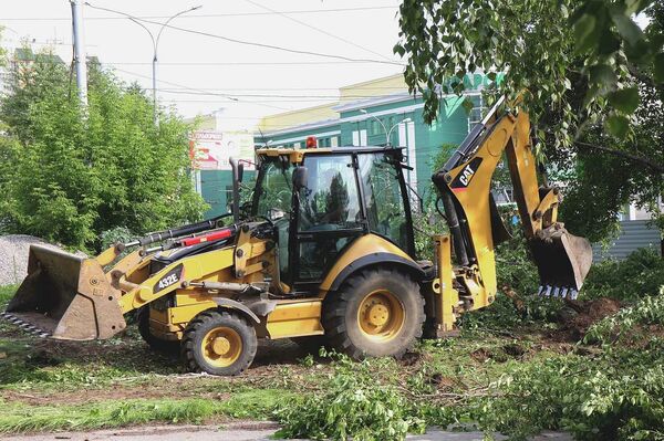 Жители Новосибирска пытаются остановить очередную вырубку деревьев Жители Новосибирска пытаются остановить очередную вырубку деревьев