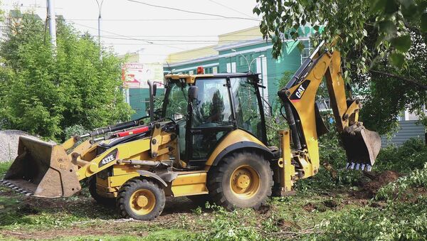 Жители Новосибирска пытаются остановить очередную вырубку деревьев