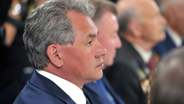 Министр обороны Сергей Шойгу на встрече президента с ветеранами ВОВ