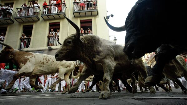 Забеги с быками на фестивале Сан-Фермин в Испании