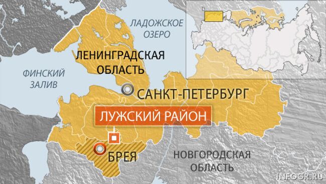 Деревня Брея Лужского района