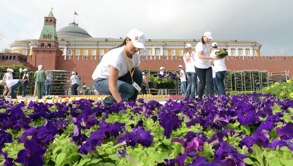 Монтаж цветочного ковра на Красной площади
