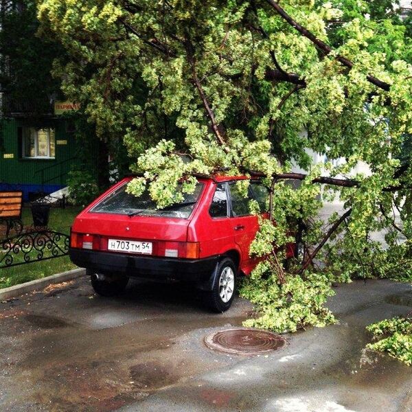 Затопленные переходы и поваленные деревья: ливень в Новосибирске