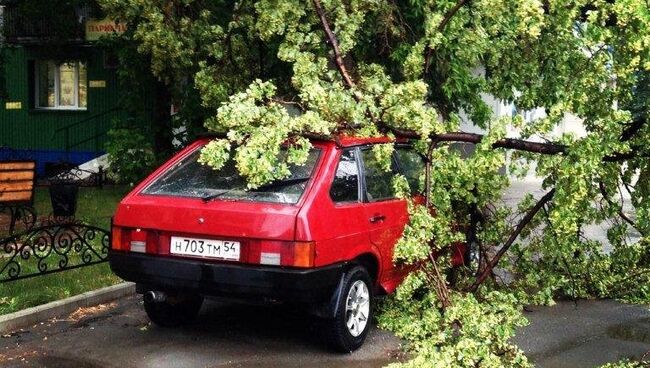 Затопленные переходы и поваленные деревья: ливень в Новосибирске