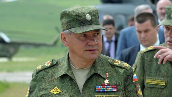 Министр обороны Сергей Шойгу. Архивное фото