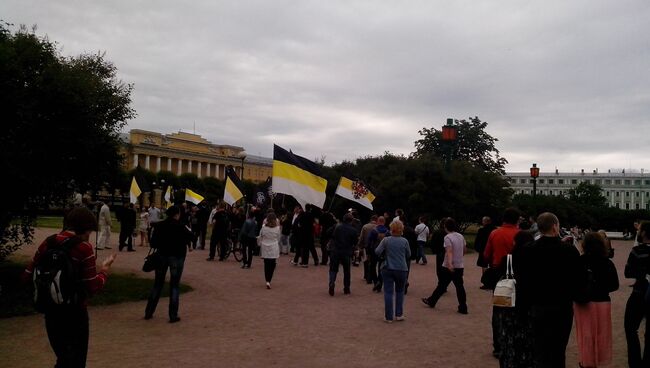 На митинге в поддержку жителей Пугачева на Марсовом поле в Петербурге