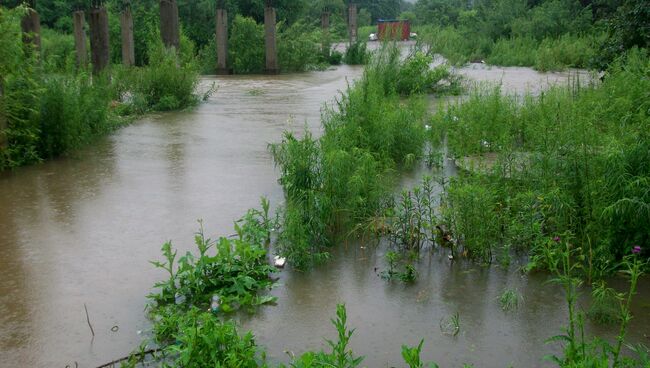 Разлив реки Богатая после сброса вода из водохранилища во Владивостоке, архивное фото