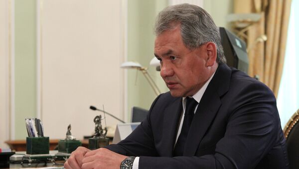 Министр обороны РФ Сергей Шойгу во время встречи с президентом России в резиденции Ново-Огарево