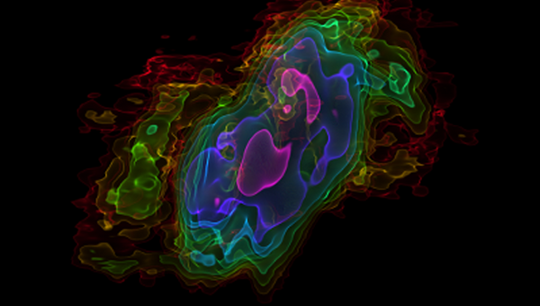 Трехмерная модель распределения оксида углерода в галактике Серебряный доллар. Цвета соответствуют количеству газа: наименьшее – красный цвет, наибольшее – фиолетовый