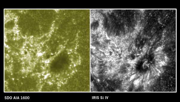 Справа – изображение участка солнечной атмосферы, полученное телескопом IRIS, слева - солнечной обсерваторией SDO