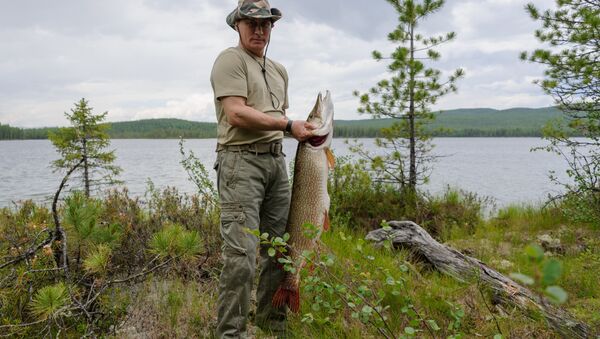 Владимир Путин во время рыбалки в Красноярском крае. Архивное фото