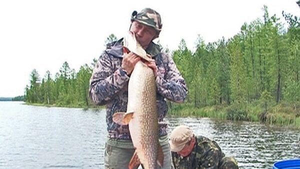 Путин поцеловал гигантскую щуку на рыбалке в Туве