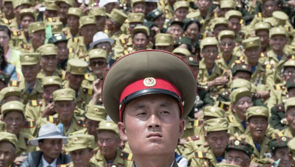 Военнослужащий во время военного парада, посвященного 60-летию окончания Корейской войны, в Пхеньяне. Архивное фото