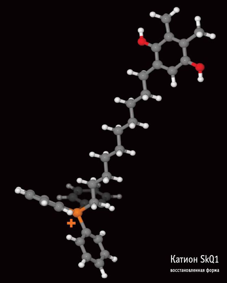Структурная формула ионов Скулачева - SkQ Структурная формула ионов Скулачева - SkQ