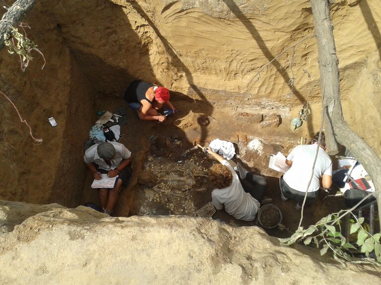 Археологи с башкирским студентами раскопали в Оренбурге нетронутую могилу богатой амазонки