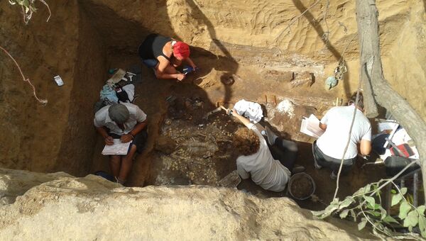 Археологи с башкирским студентами раскопали в Оренбурге нетронутую могилу богатой амазонки