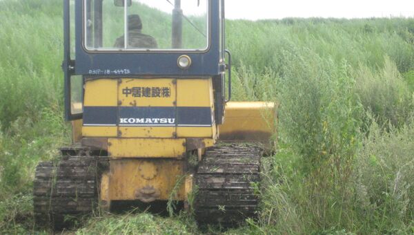 Уничтожение плантации конопли в Ханскайском районе Приморья