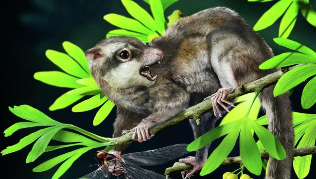 Так выглядел его “конкурент” Arboroharamiya, которого его первооткрыватели считают настоящим млекопитающим Так выглядел его “конкурент” Arboroharamiya, которого его первооткрыватели считают настоящим млекопитающим