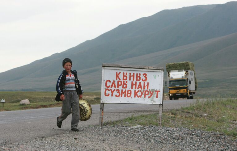 Горное пастбище в Суусамырской долине