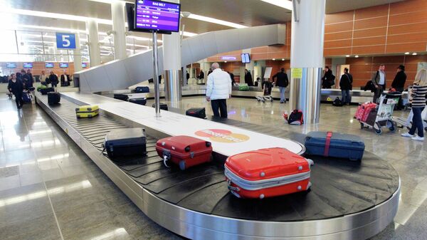 Багаж пассажиров в аэропорту, архивное фото