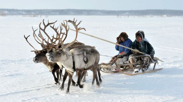 День оленевода в городе Надым полуострова Ямал, архивное фото